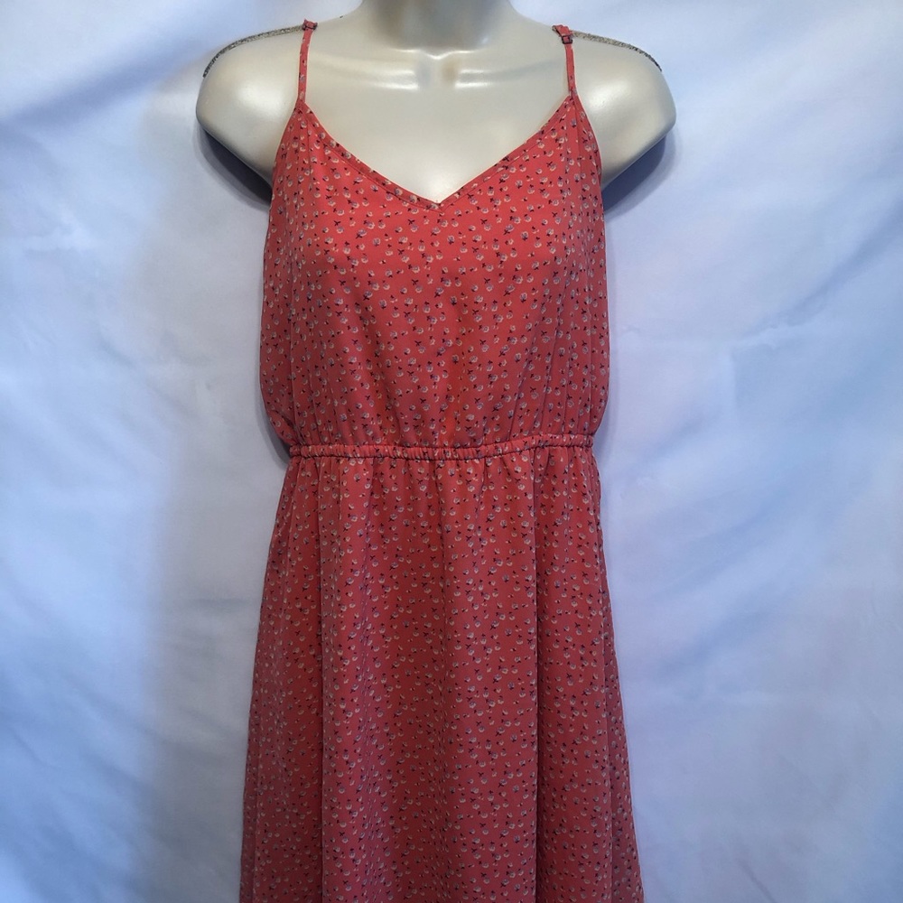 Floral Rose Print Cinched Dress